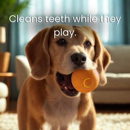 Sqeezly® Magic Dog Bal