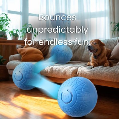 Sqeezly® Magic Dog Bal